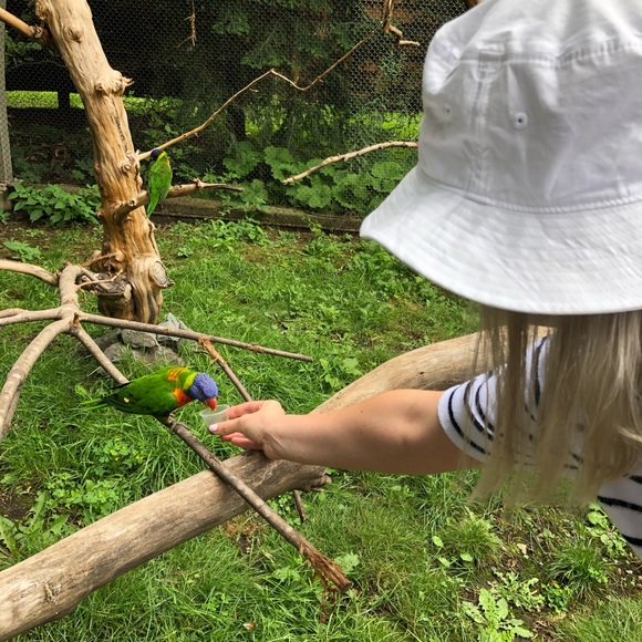 Meet your Posher, Stephannie - Picture 1 of 1